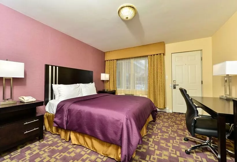 酒店 Americas Best Value Inn Providence North Scituate