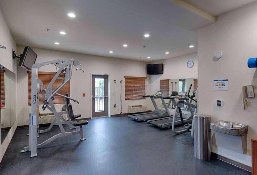 فندق Best Western Plus Delta Inn & Suites