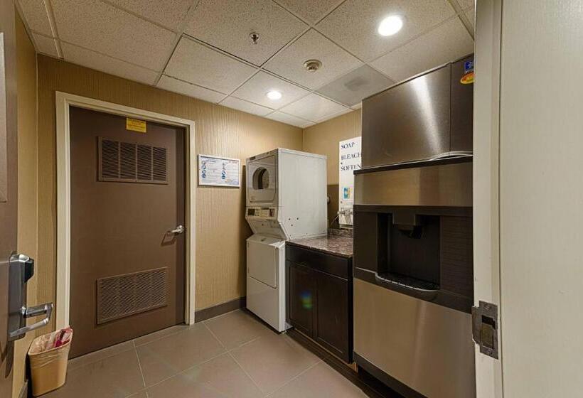 فندق Best Western Plus Delta Inn & Suites