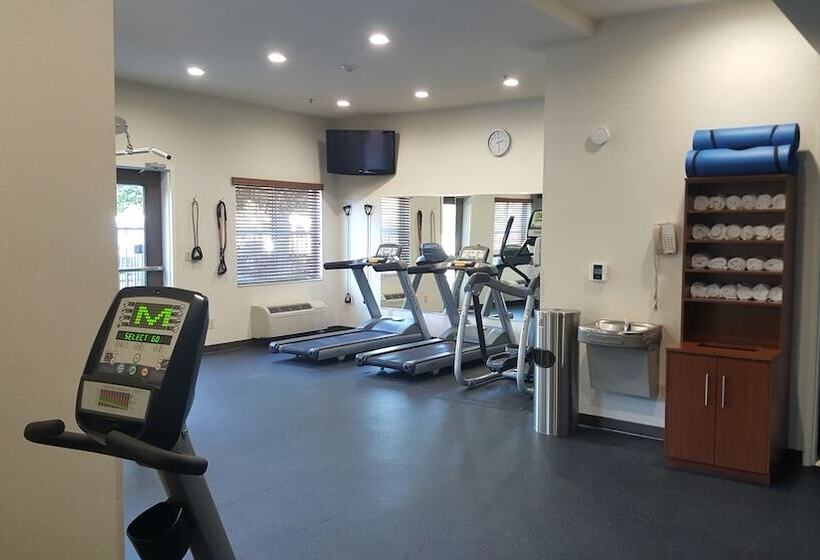 فندق Best Western Plus Delta Inn & Suites