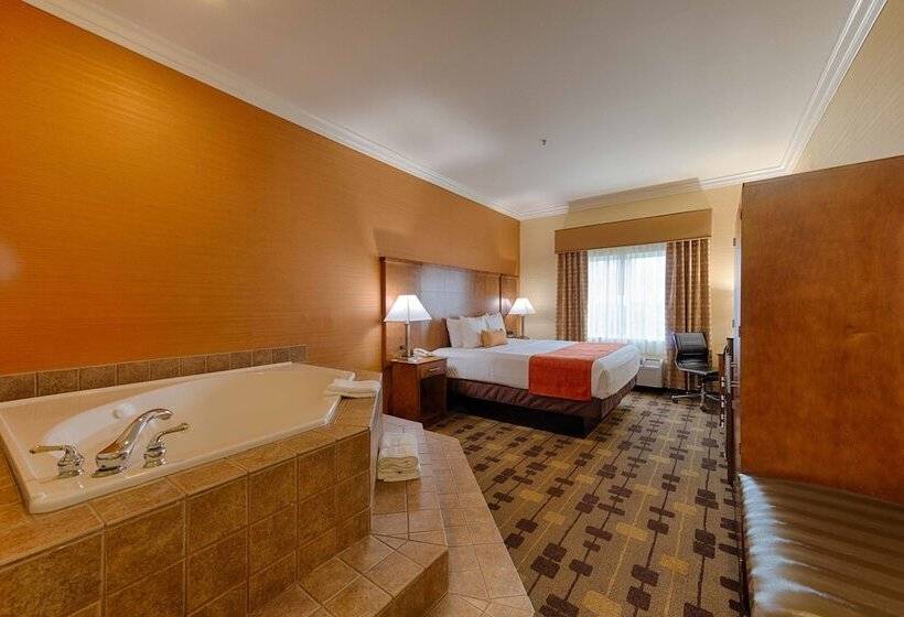 فندق Best Western Plus Delta Inn & Suites