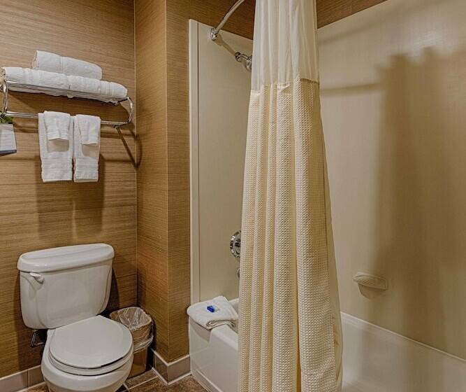 فندق Best Western Plus Delta Inn & Suites