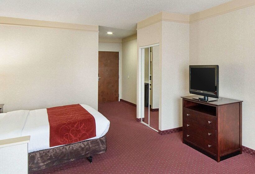 酒店 Comfort Suites Parkersburg South