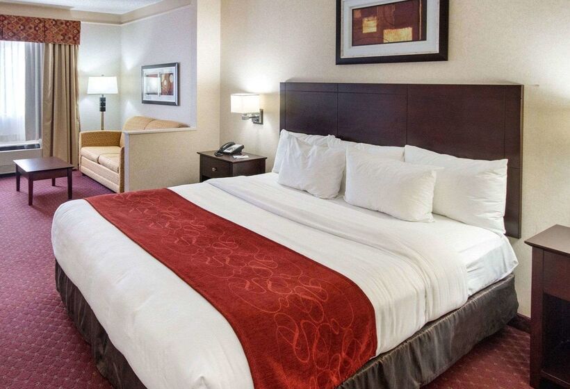 酒店 Comfort Suites Parkersburg South
