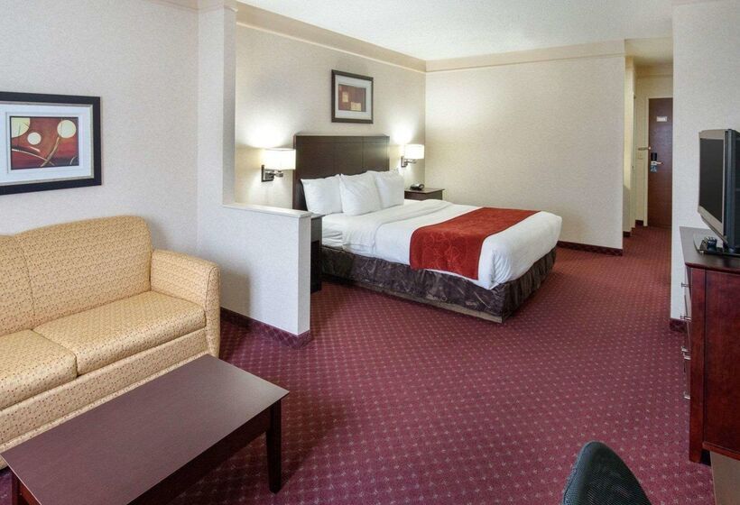 酒店 Comfort Suites Parkersburg South