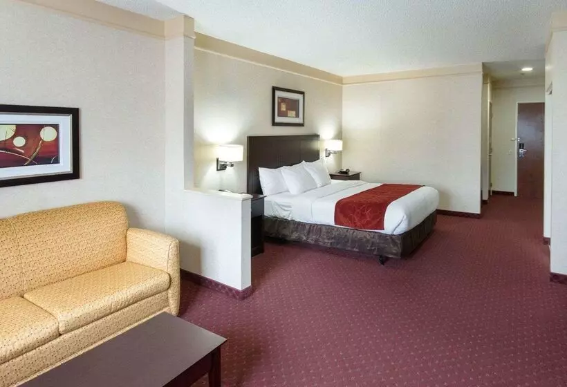 Отель Comfort Suites Parkersburg South
