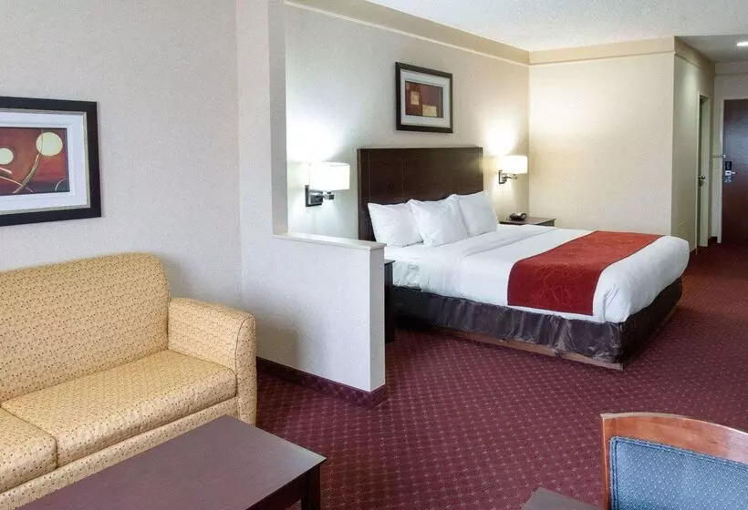 Отель Comfort Suites Parkersburg South
