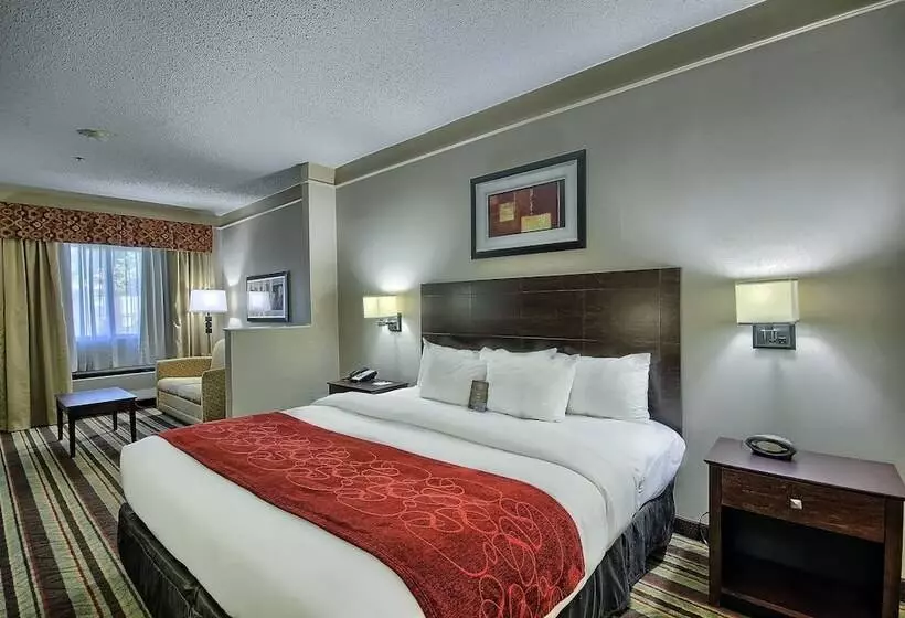 Отель Comfort Suites Parkersburg South