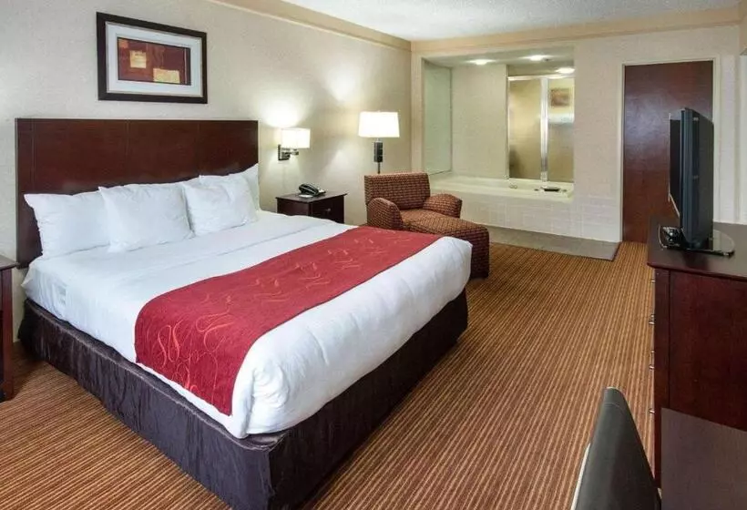 Отель Comfort Suites Parkersburg South