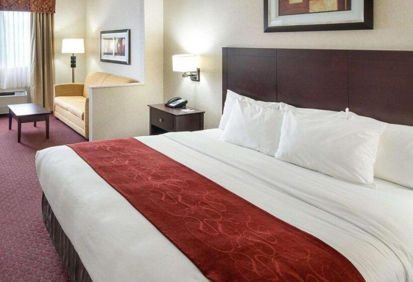 酒店 Comfort Suites Parkersburg South