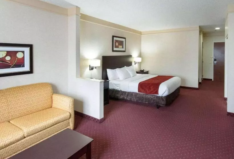 Отель Comfort Suites Parkersburg South