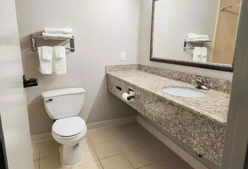 酒店 Days Inn By Wyndham Laplace New Orleans