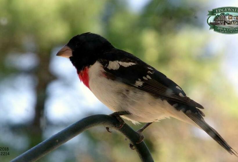 فندق Edgewater Inn & Cottages