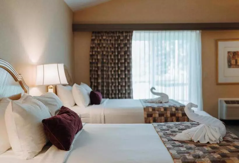 Otel Skaneateles Suites