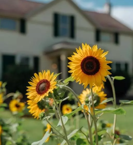 Otel Skaneateles Suites