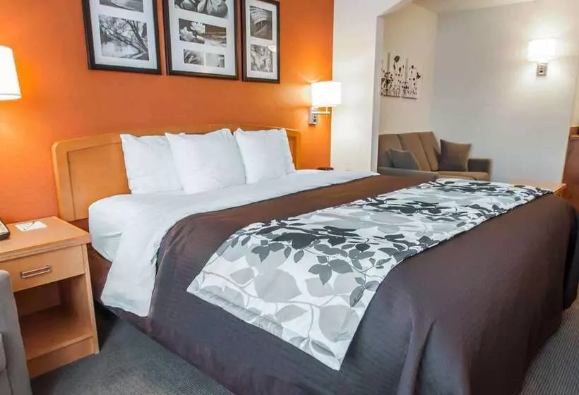 בית מלון כפרי Sleep Inn & Suites Lake Of The Ozarks