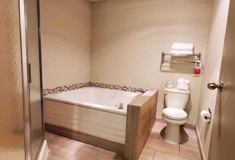 فندق Wingate By Wyndham Canton Hall Of Fame