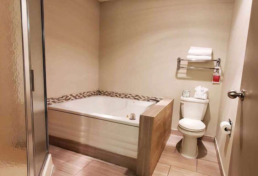 فندق Wingate By Wyndham Canton Hall Of Fame