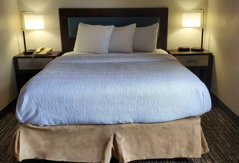 فندق Wingate By Wyndham Canton Hall Of Fame