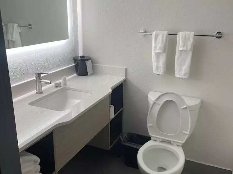 Hotel Wingate By Wyndham Savannah Gateway