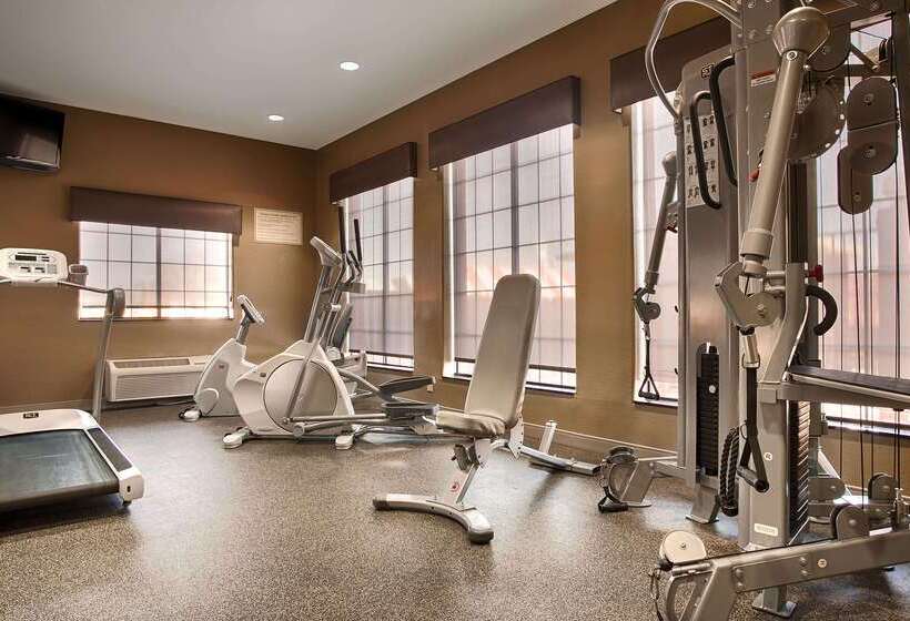 Отель Best Western Giddings Inn & Suites