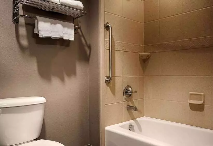 فندق Best Western Giddings Inn & Suites