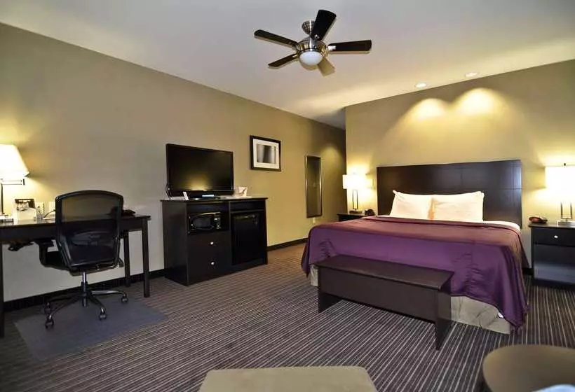 فندق Best Western Giddings Inn & Suites