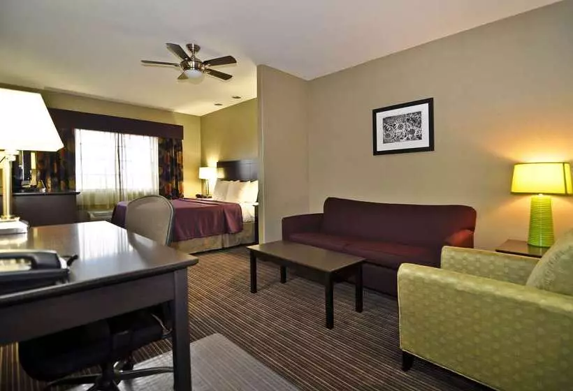 فندق Best Western Giddings Inn & Suites