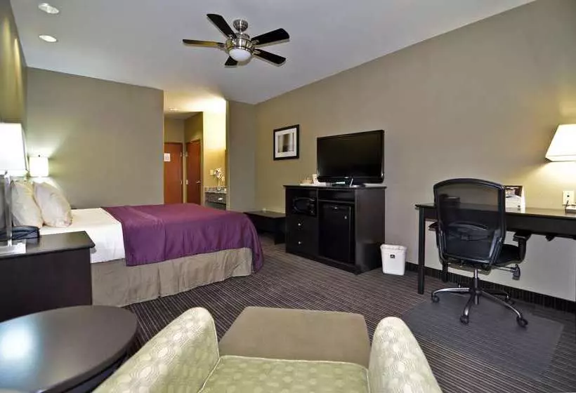فندق Best Western Giddings Inn & Suites