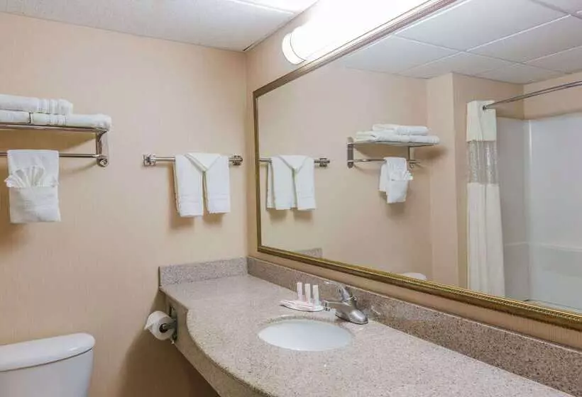 호텔 Days Inn By Wyndham Budd Lake