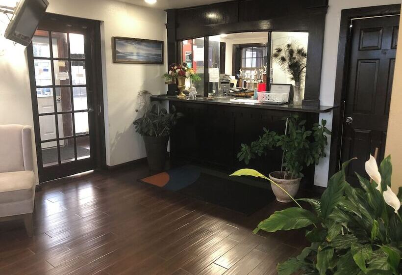 בית מלון כפרי Executive Inn