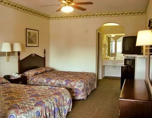 ホテル Executive Suites Intercontinental Airport