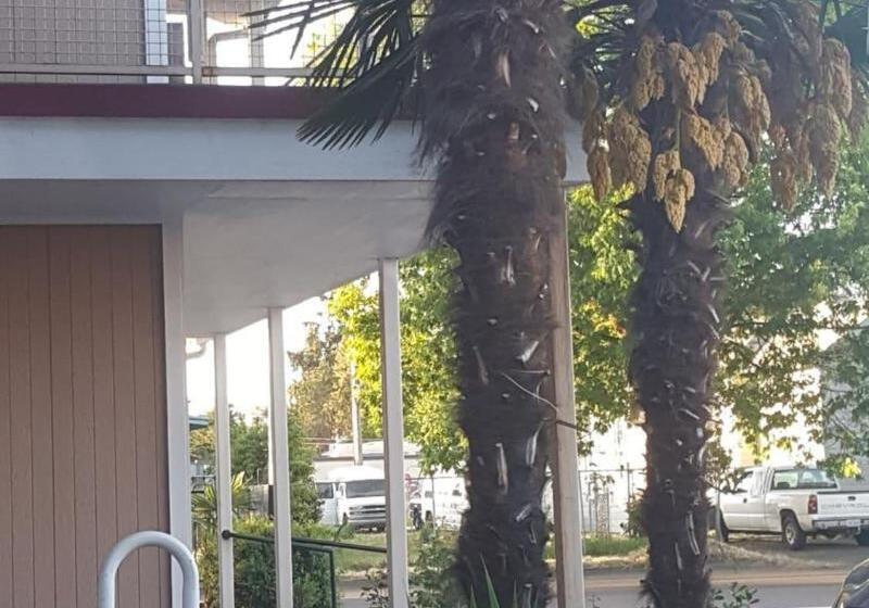 فندق Express Inn & Suites Eugene