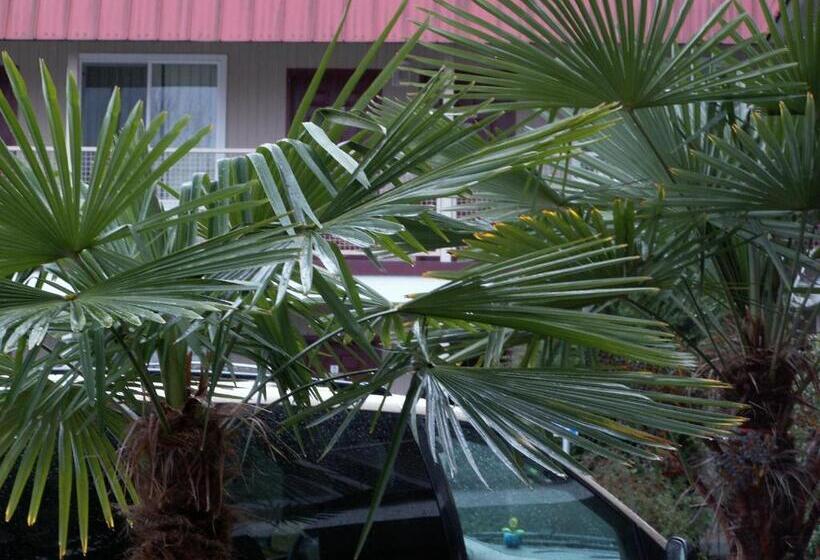 فندق Express Inn & Suites Eugene