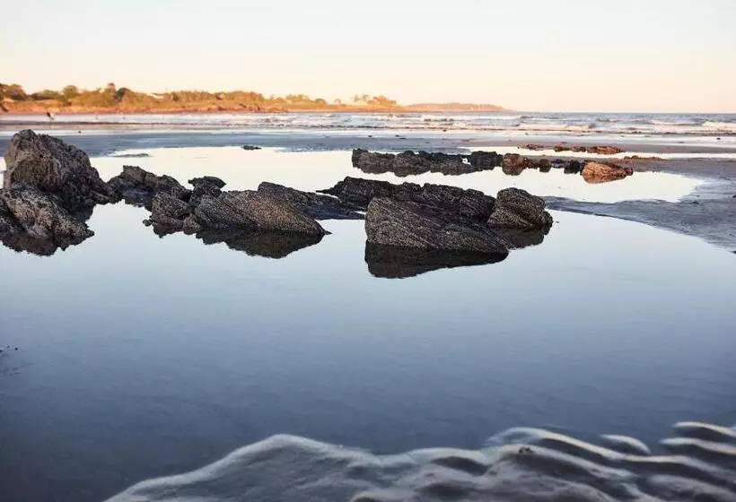 فندق Higgins Beach Inn