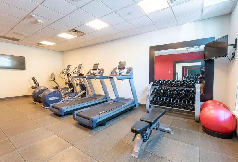 Отель Hilton Garden Inn Ogden Ut