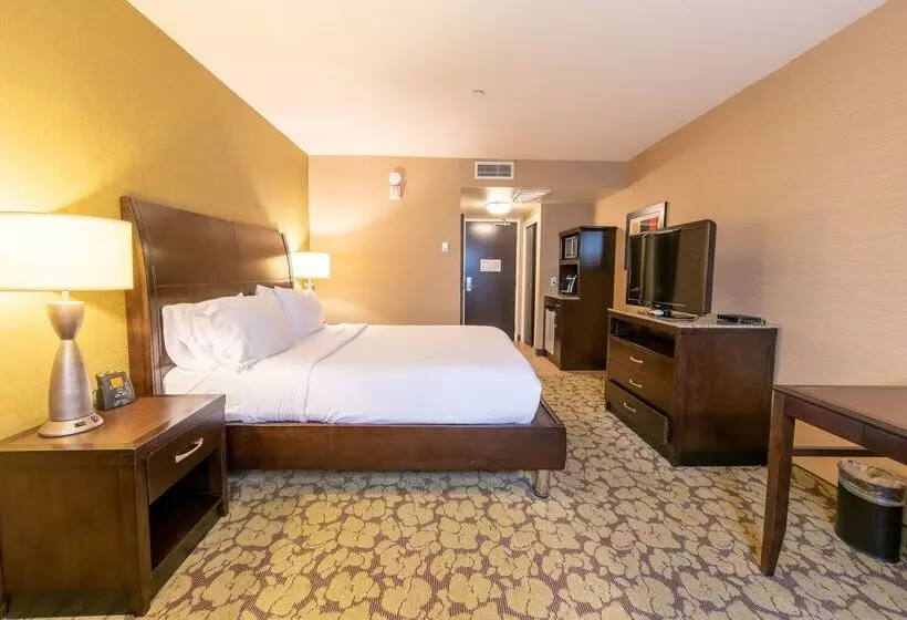 Отель Hilton Garden Inn Ogden Ut