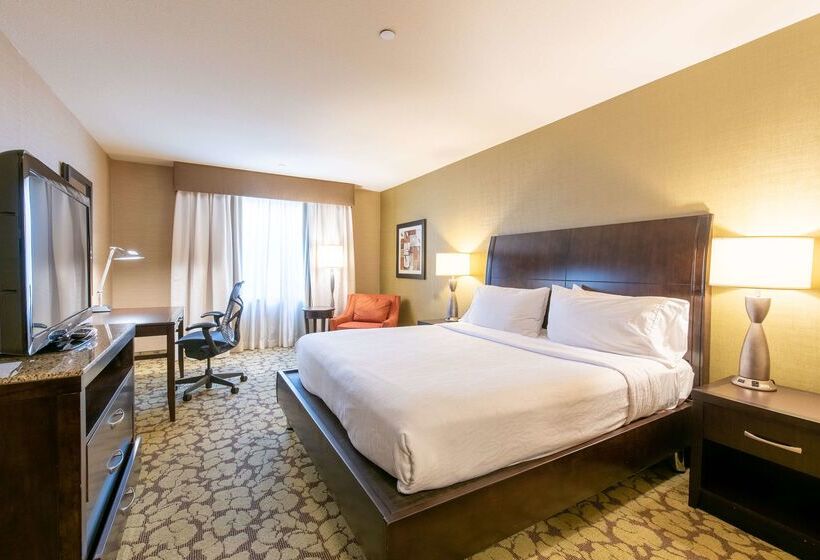 酒店 Hilton Garden Inn Ogden Ut