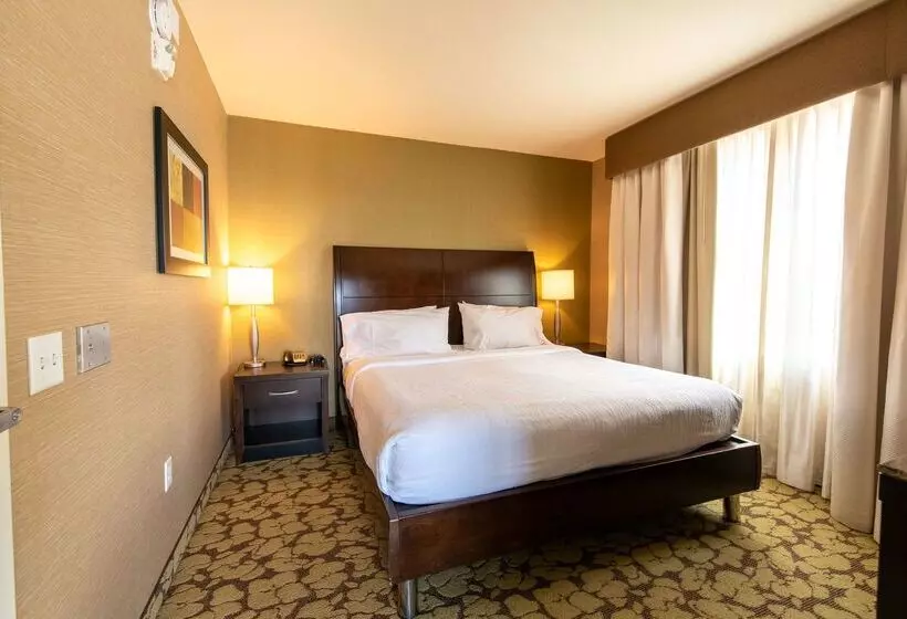 Отель Hilton Garden Inn Ogden Ut