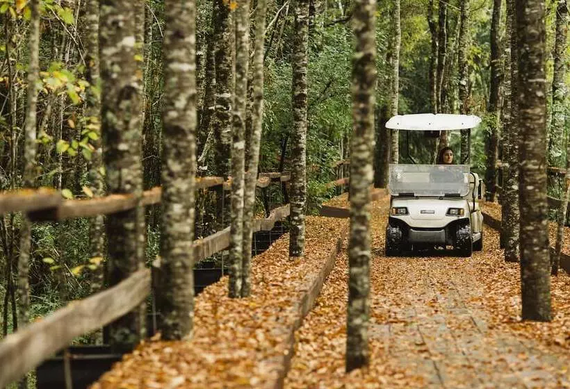 Hotel Huilo Huilo Nawelpi Lodge