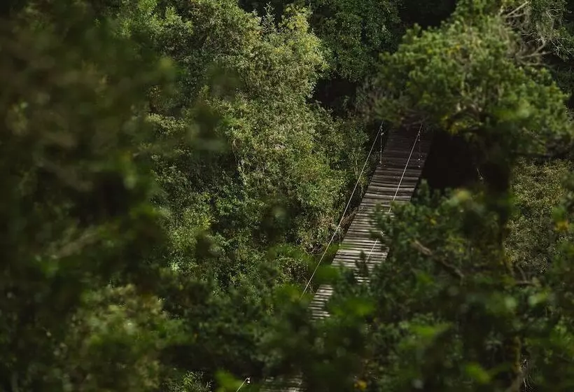 Hotel Huilo Huilo Nawelpi Lodge