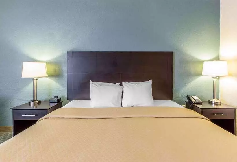 Отель Quality Inn