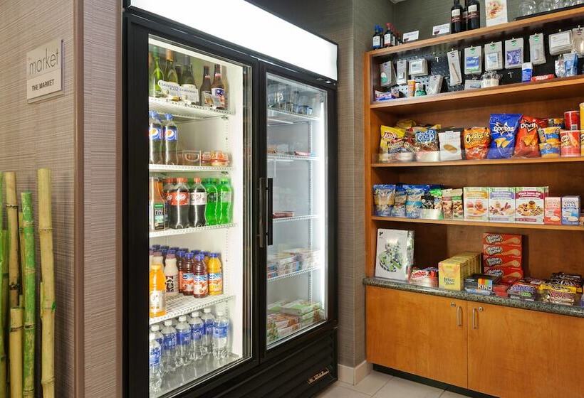 בית מלון כפרי Springhill Suites Charlotte Lake Norman/mooresville