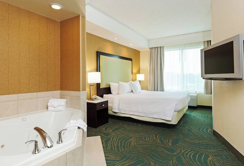 בית מלון כפרי Springhill Suites Charlotte Lake Norman/mooresville