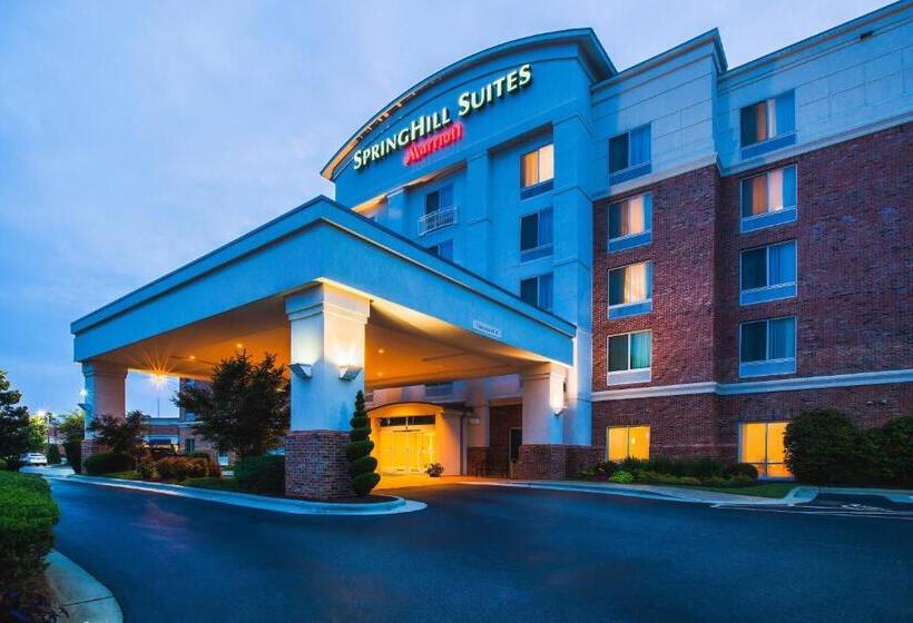 בית מלון כפרי Springhill Suites Charlotte Lake Norman/mooresville