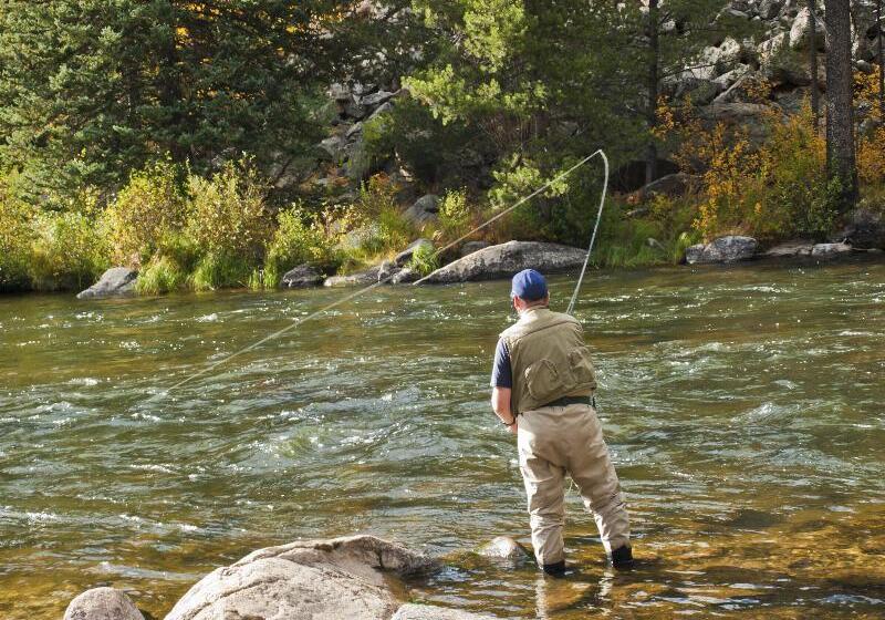 هتل The Sebastian Vail