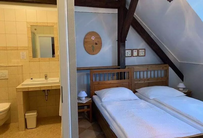 住宿加早餐 Pension Amadeus & Apartments