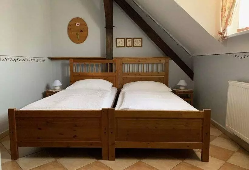 住宿加早餐 Pension Amadeus & Apartments