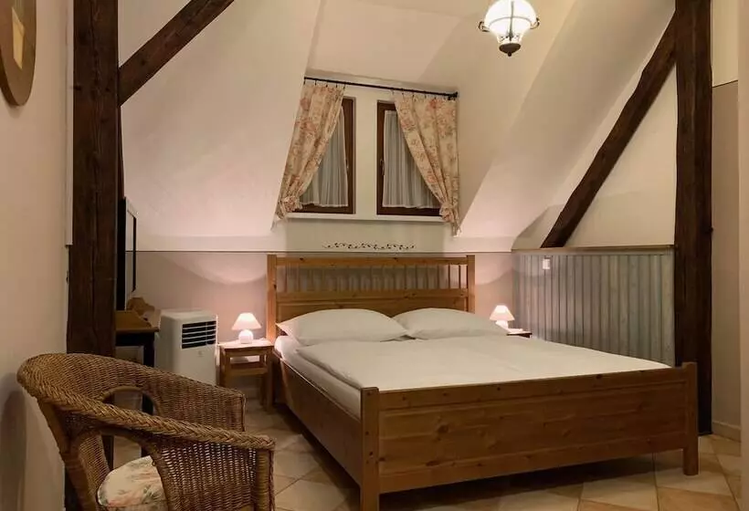 住宿加早餐 Pension Amadeus & Apartments