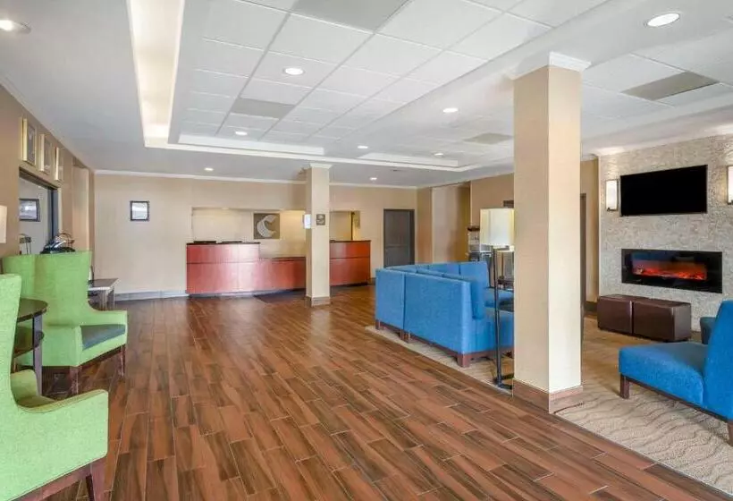 ホテル Comfort Inn & Suites